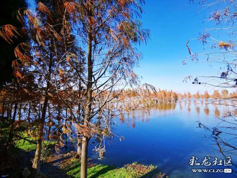 郭碧婷婚后频繁上综艺节目,从中可以看出什么?——知识星球平台,深度分享学习交流